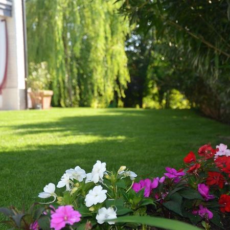 Asso Bed & Breakfast Manerba del Garda Extérieur photo