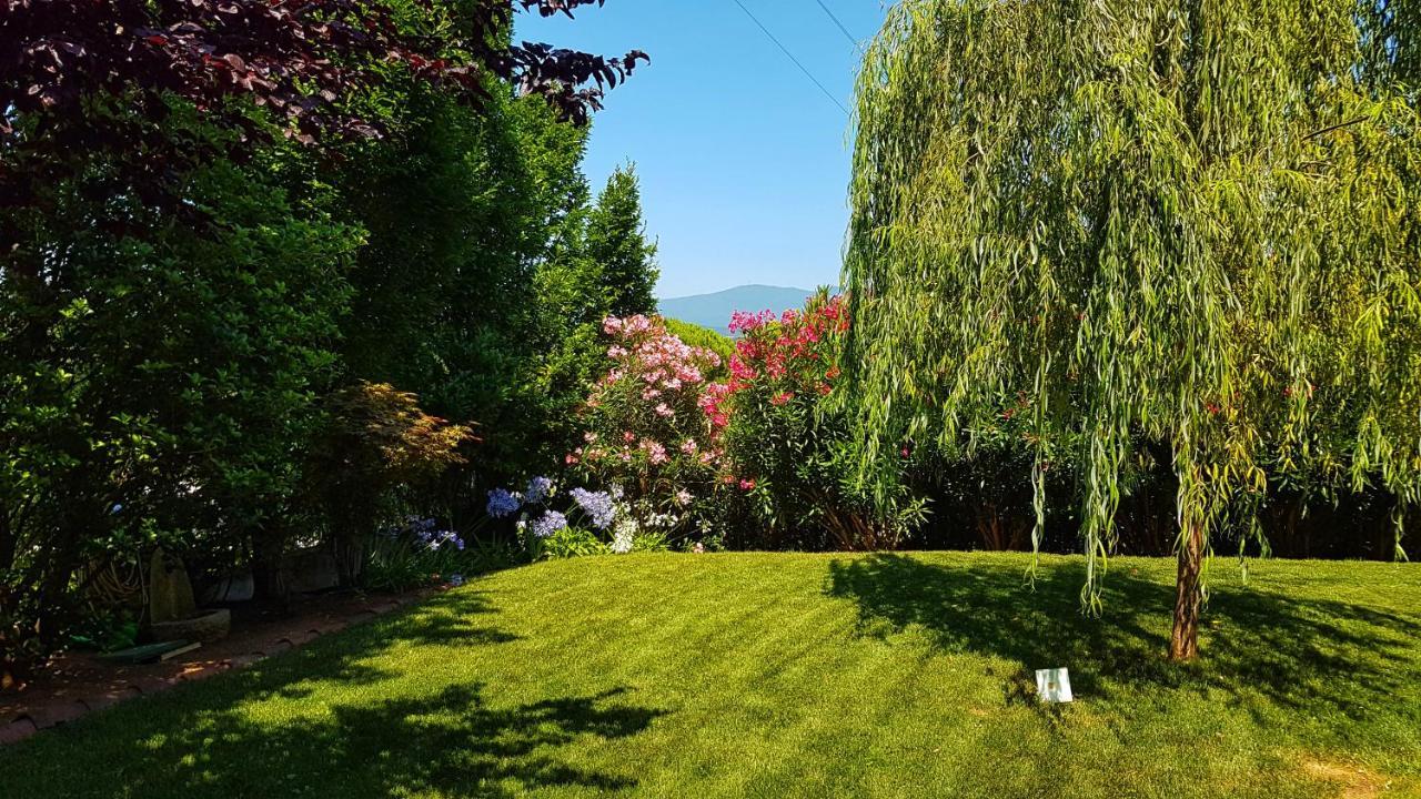 Asso Bed & Breakfast Manerba del Garda Extérieur photo