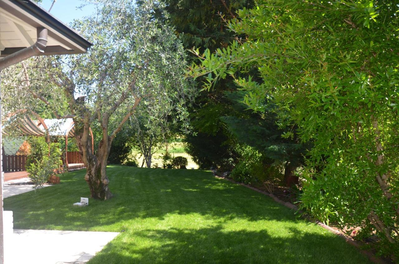 Asso Bed & Breakfast Manerba del Garda Extérieur photo